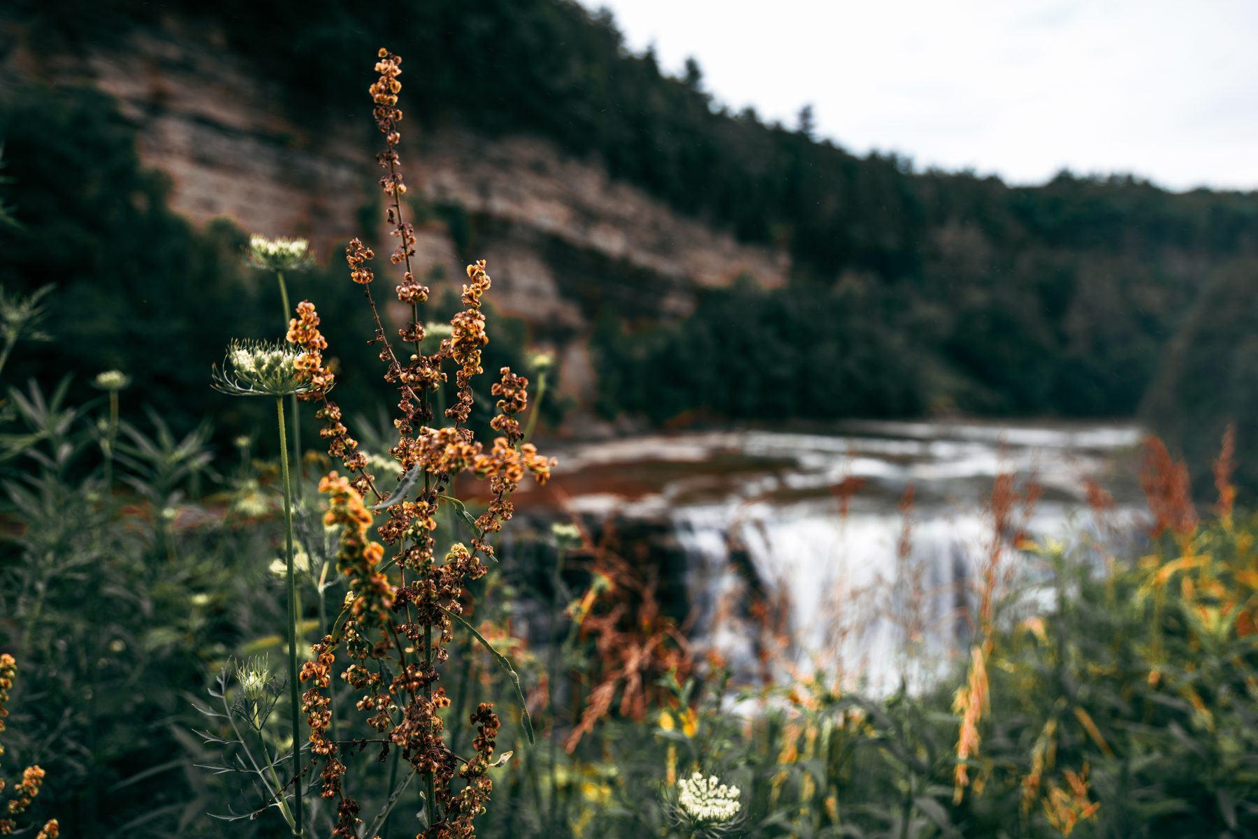 Finger Lakes & Niagara Falls — photo by Josh Benedick