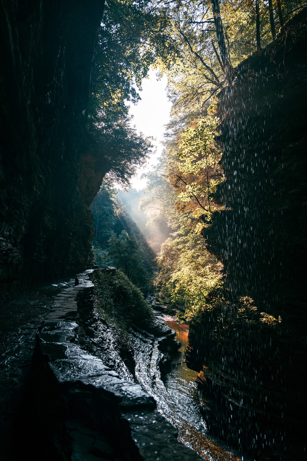 Finger Lakes & Niagara Falls — photo by Josh Benedick