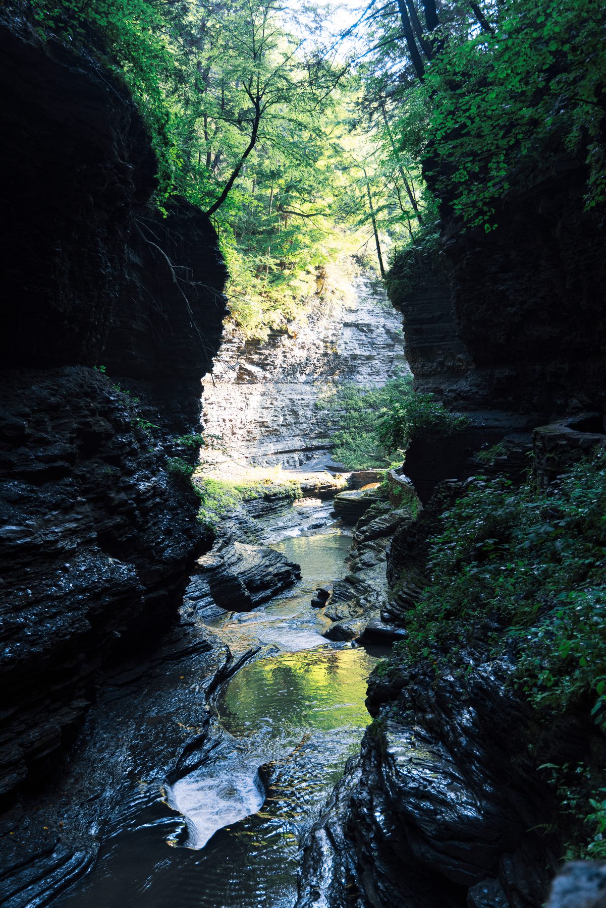 Finger Lakes & Niagara Falls — photo by Josh Benedick