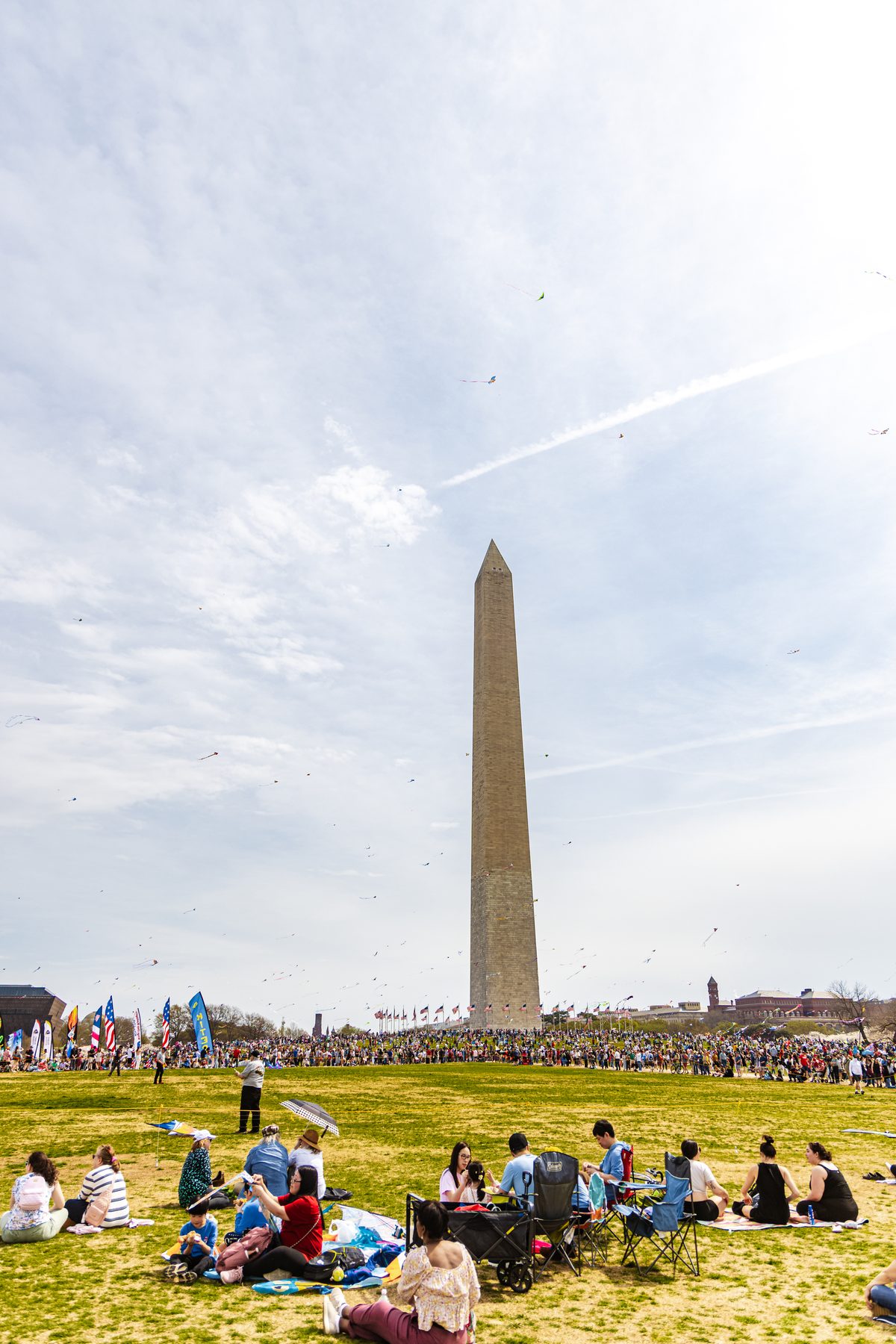 Washington, D.C. in Bloom — photo by Josh Benedick