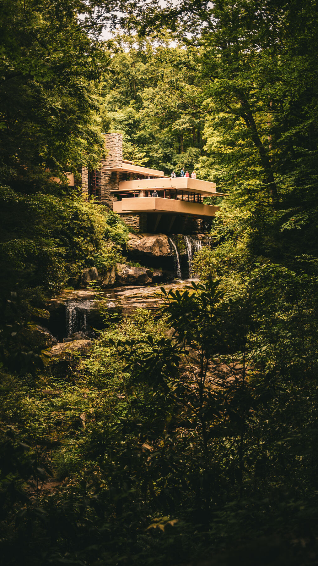 Fallingwater framed by forest, its cantilevers stacked above the waterfall below